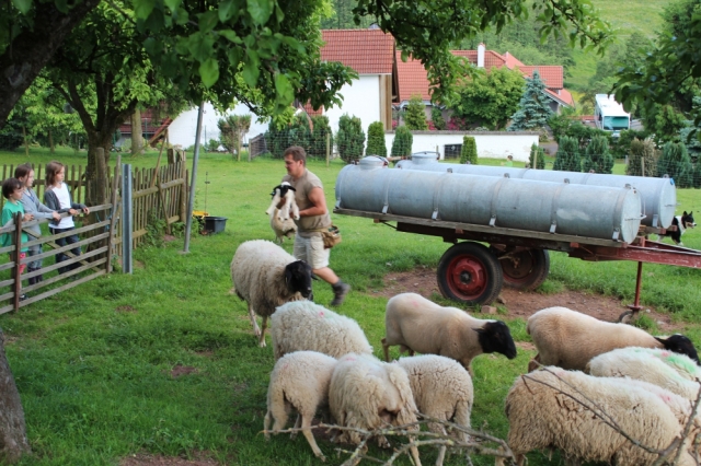 Das Lerncamp Hessen bietet erlebnisintensives Lernen in den Osterferien Das Lerncamp Hessen bietet erlebnisintensives Lernen in den Osterferien