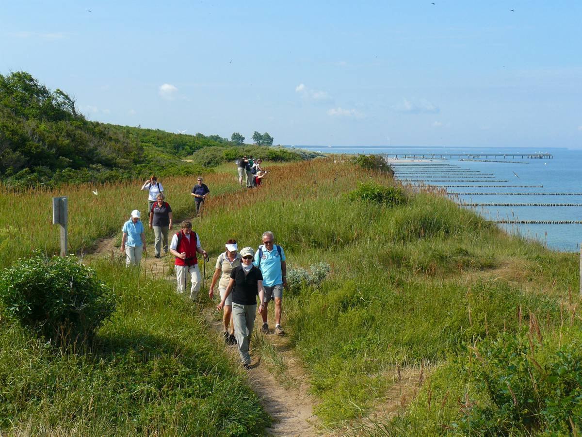 Wanderung am Steilufer bei Ahrenshoop Wanderung am Steilufer bei Ahrenshoop