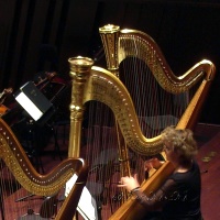 Harfenistin im Orchestergraben beim Einspielen vor dem Konzert
