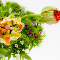 Blumenabo zum Valentinstag