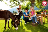 Tierisch gute Ferien: Auf Tuchfühlung mit Fellnasen und Vierbeinern im Bergdorf der Tiere.