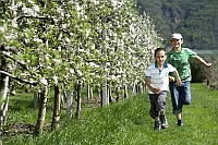 Kinder mit Apfelblüte - Urlaub am Hof der „Kreativen Bäuerinnen“ in Lana