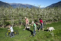 Familienpicknick