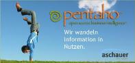 Pentaho Open Source Business Intelligence Suite Pentaho Open Source Business Intelligence Suite
