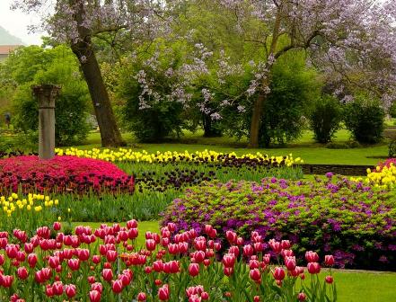 2) Tulpenschau in der Villa Taranto (Copyright: Villa Taranto) 2) Tulpenschau in der Villa Taranto (Copyright: Villa Taranto)