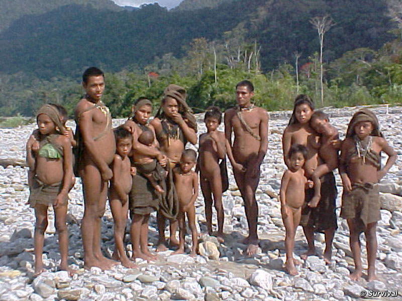 Unkontaktierte indigene Völker in Peru sind noch immer bedroht © Unbekannt/ Survival