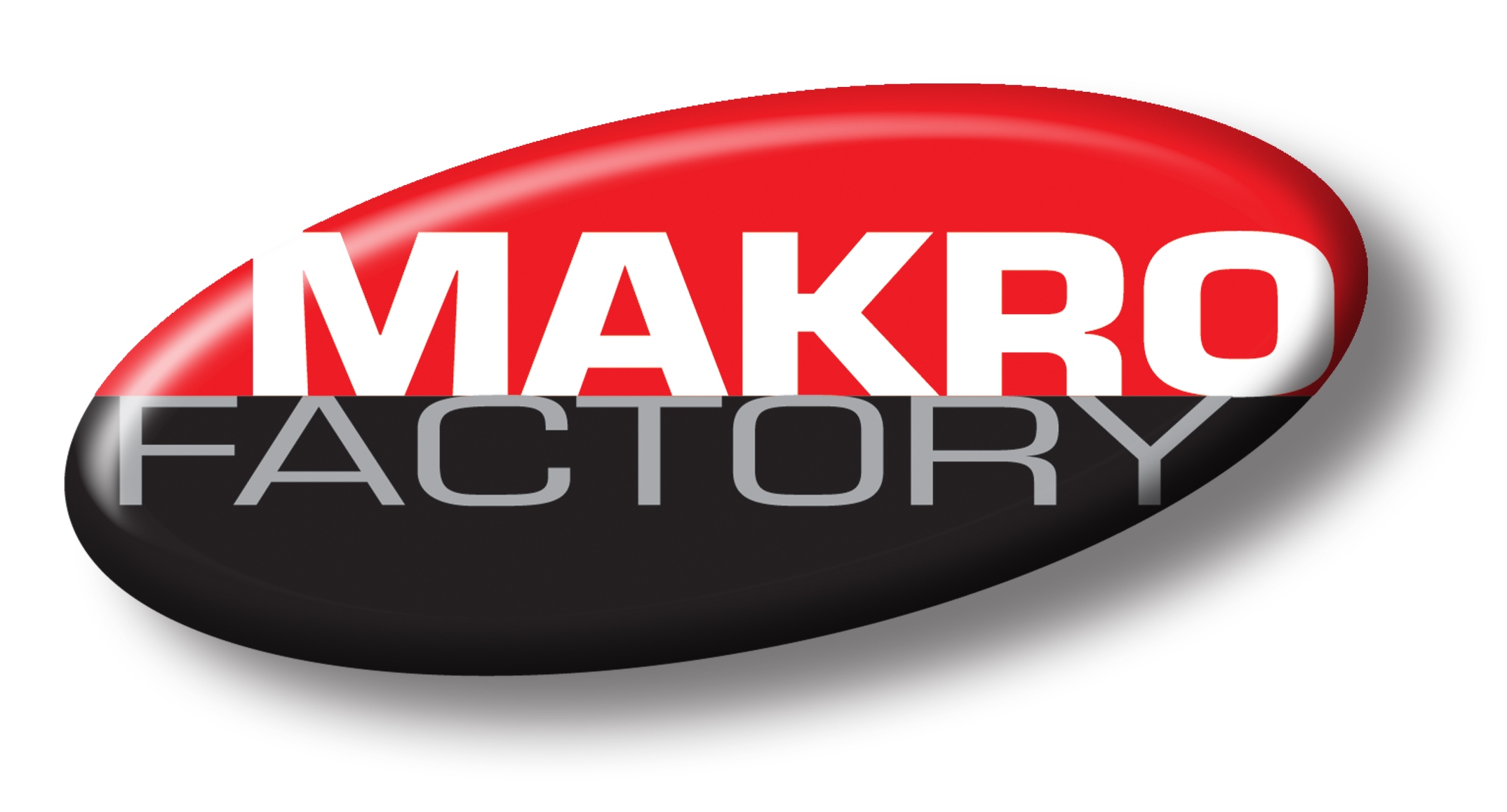 Makro Factory, das Karlsruher IT-Beratungshaus Makro Factory, das Karlsruher IT-Beratungshaus