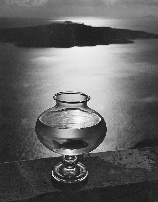 Herbert List: Goldfischglas, San Tourin 1938