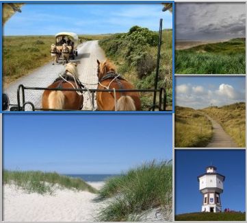 www.Typisch-Nordsee.de alles über die Nordsee