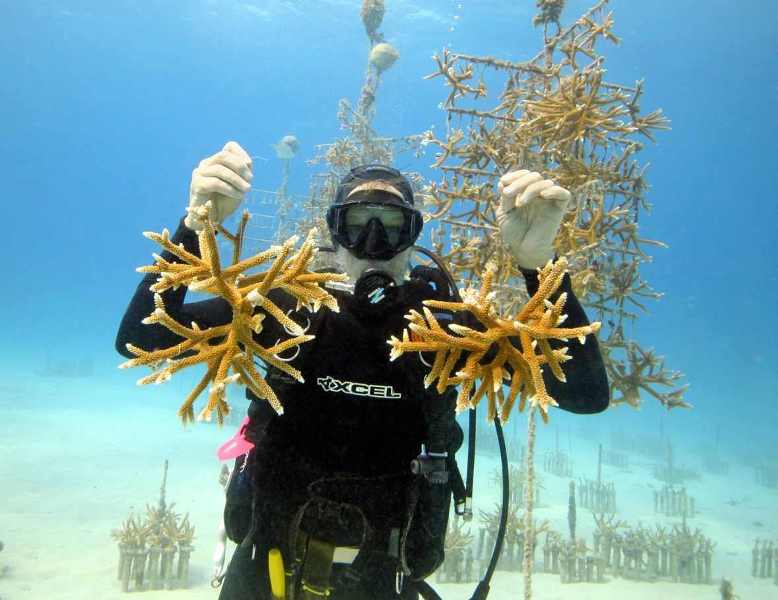 Bildrechte: © Florida Keys News Bureau Bildrechte: © Florida Keys News Bureau