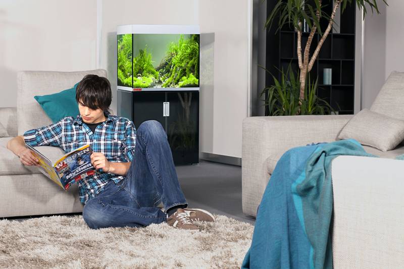 Im Internet gibt es umfassende Infos und hilfreiche Apps für Aquarianer. Foto: djd/Eheim