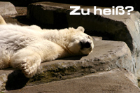 Zu heiß? Zu heiß?