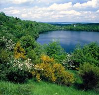 Der Eifelsteig bei Daun - Weinfelder Maar Der Eifelsteig bei Daun - Weinfelder Maar