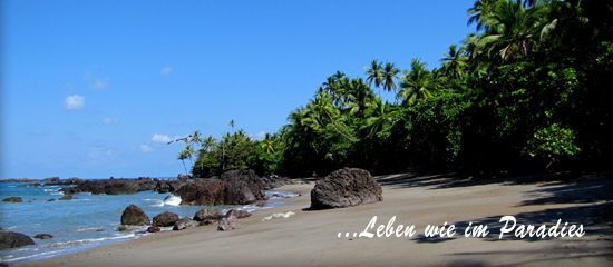Costa Rica Immobilien Experte? Ihr Partner bei Beratungen, Kauf/Verkauf Costa Rica Immobilien Experte? Ihr Partner bei Beratungen, Kauf/Verkauf