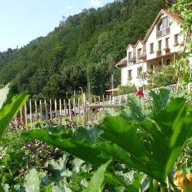 Das Helvetia mit eigenem Gemüsegarten