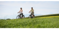 Radfahren mitten im Ibmer Moor Radfahren mitten im Ibmer Moor