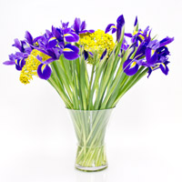 Geschenk zum Frauentag