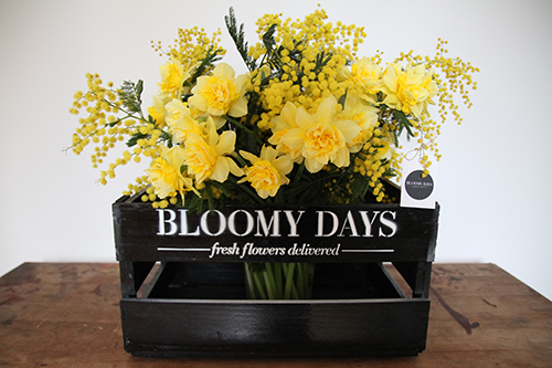 BLOOMY DAYS GmbH