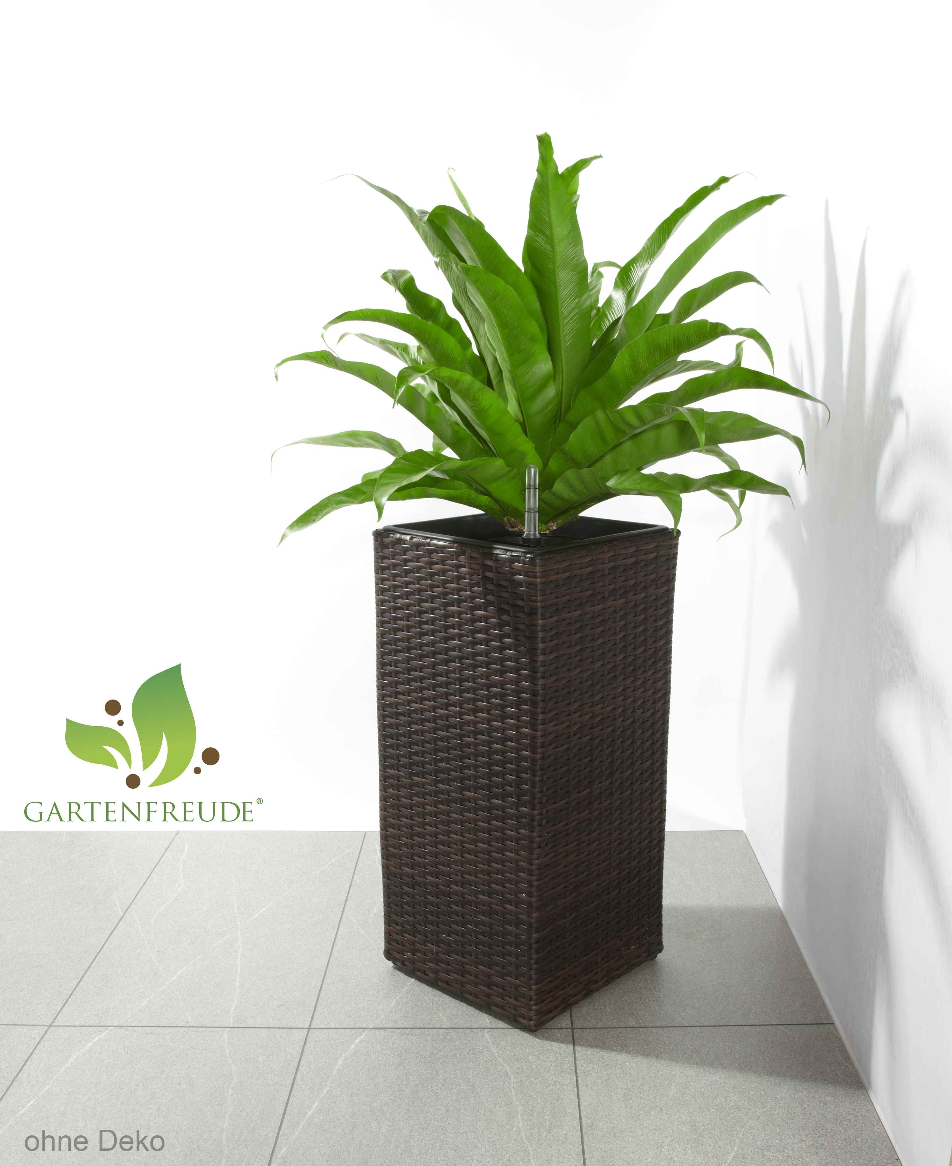 Gartenfreude POLYRATTAN Pflanzgefäß