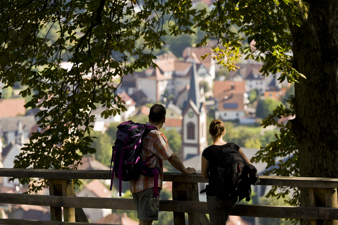 Beim romantischen Blick vom Neckarsteig offenbart sich die Schönheit der Regio