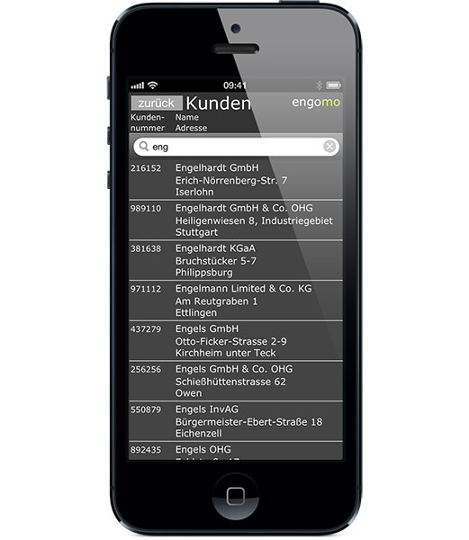 CRM-Beispiel-Profil mit Live-Anzeige von Kundendaten