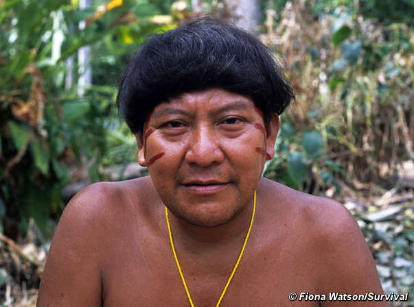 Davi Kopenawa, Yanomami-Sprecher, hat sich gegen Chagnons neues Buch ausgesprochen. © Survival Davi Kopenawa, Yanomami-Sprecher, hat sich gegen Chagnons neues Buch ausgesprochen. © Survival