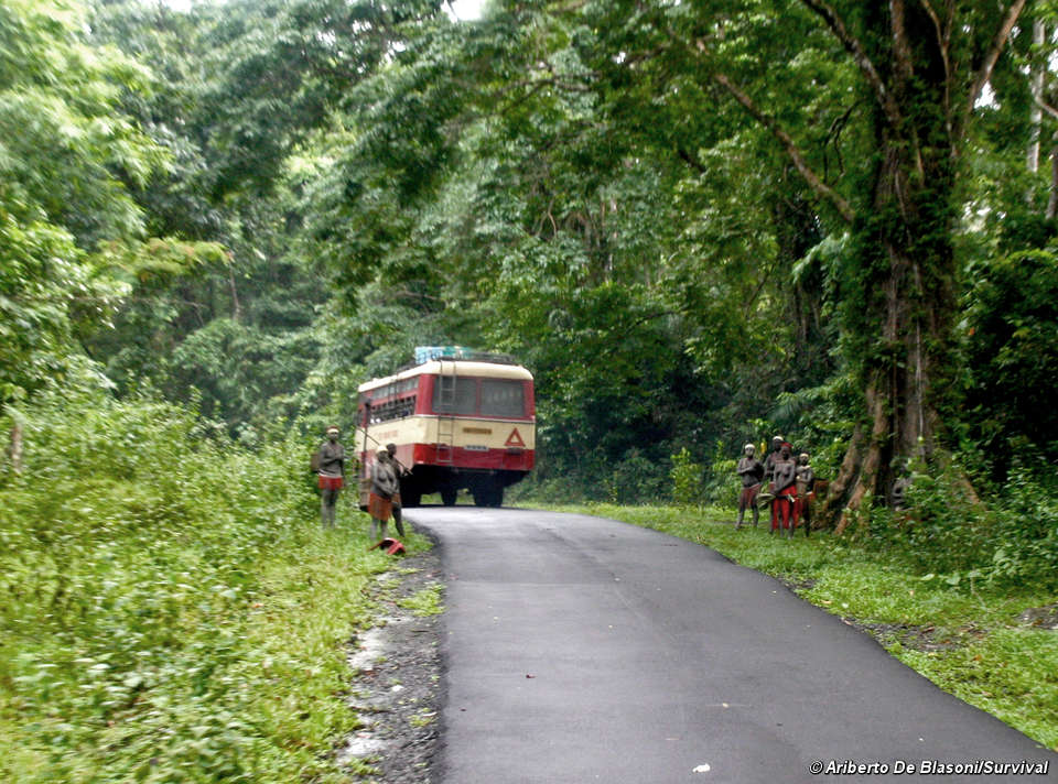 Die Angst um die Ausbeutung der Jarawa steigt erneut. © Ariberto De Blasoni/Survival