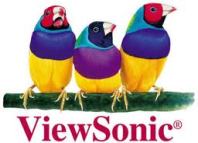 ViewSonic ViewSonic