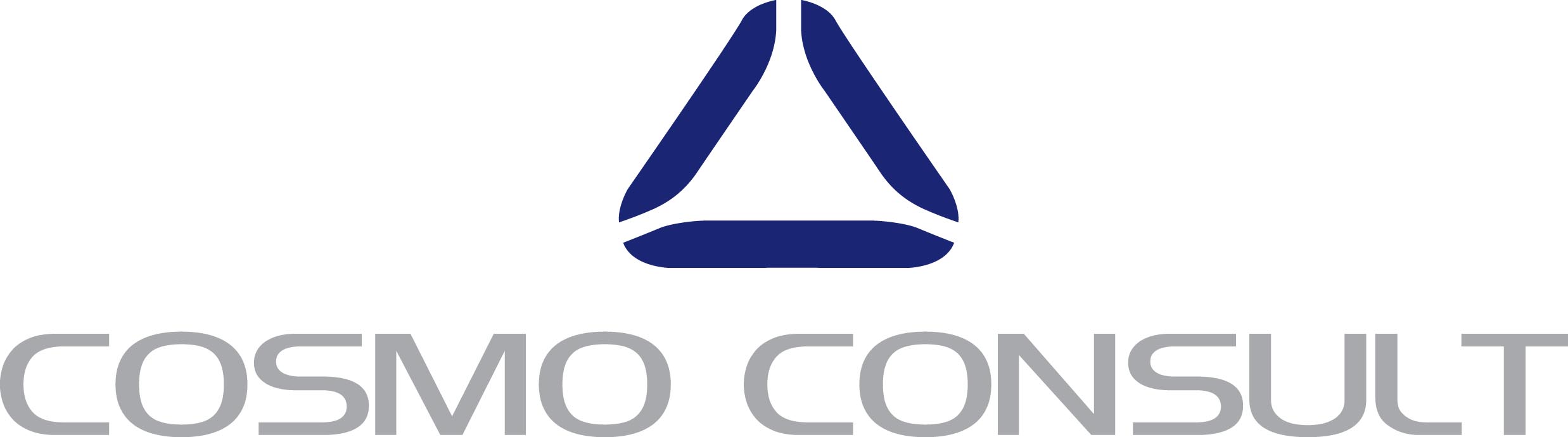 COSMO CONSULT 