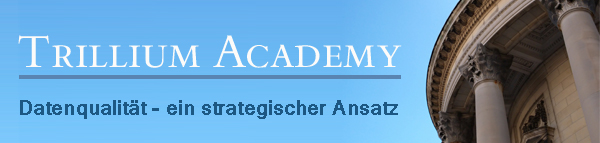 Webinar: Datenqualität - Wie Sie mit der richtigen Strategie Ihre Daten in den Griff bekommen.