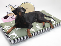 Traumhund. Das Bettenhaus mit Pfiff.“ Traumhund. Das Bettenhaus mit Pfiff.“