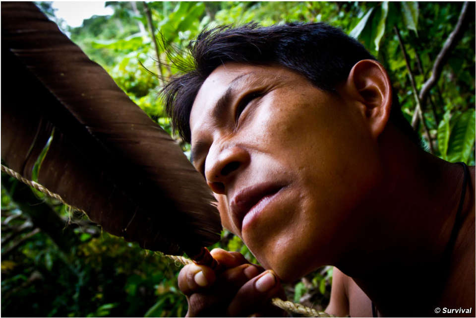 Matsés Mann mit Pfeil. © James Vybiral/Survival Matsés Mann mit Pfeil. © James Vybiral/Survival
