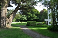 Gartenanlage Gartenanlage