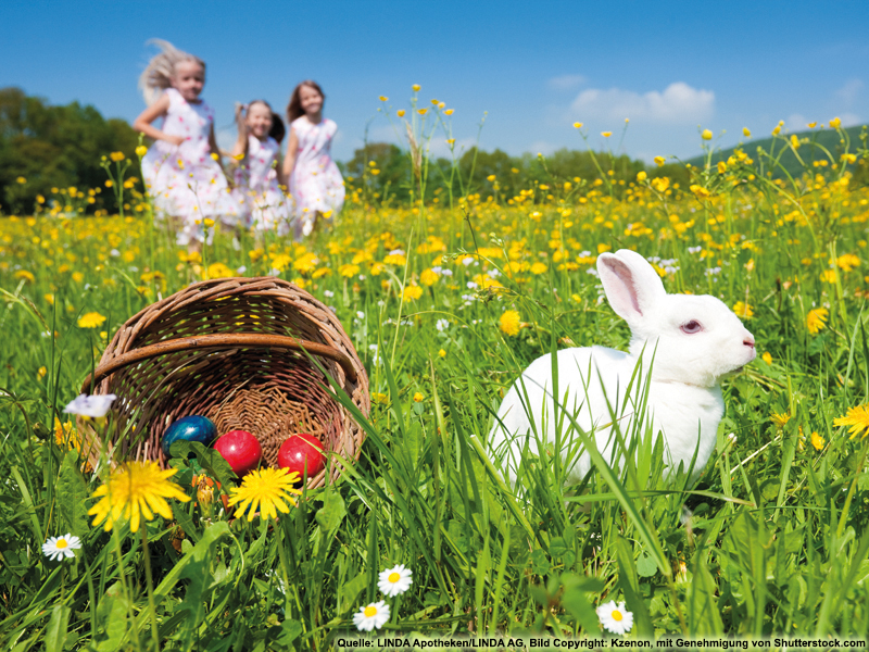 Oster-Gewinnspiel der LINDA Apotheken Oster-Gewinnspiel der LINDA Apotheken