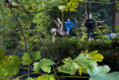 Naturerlebnis Grünes Band - Seilbrücken an ehemaliger Grenze bauen Naturerlebnis Grünes Band - Seilbrücken an ehemaliger Grenze bauen