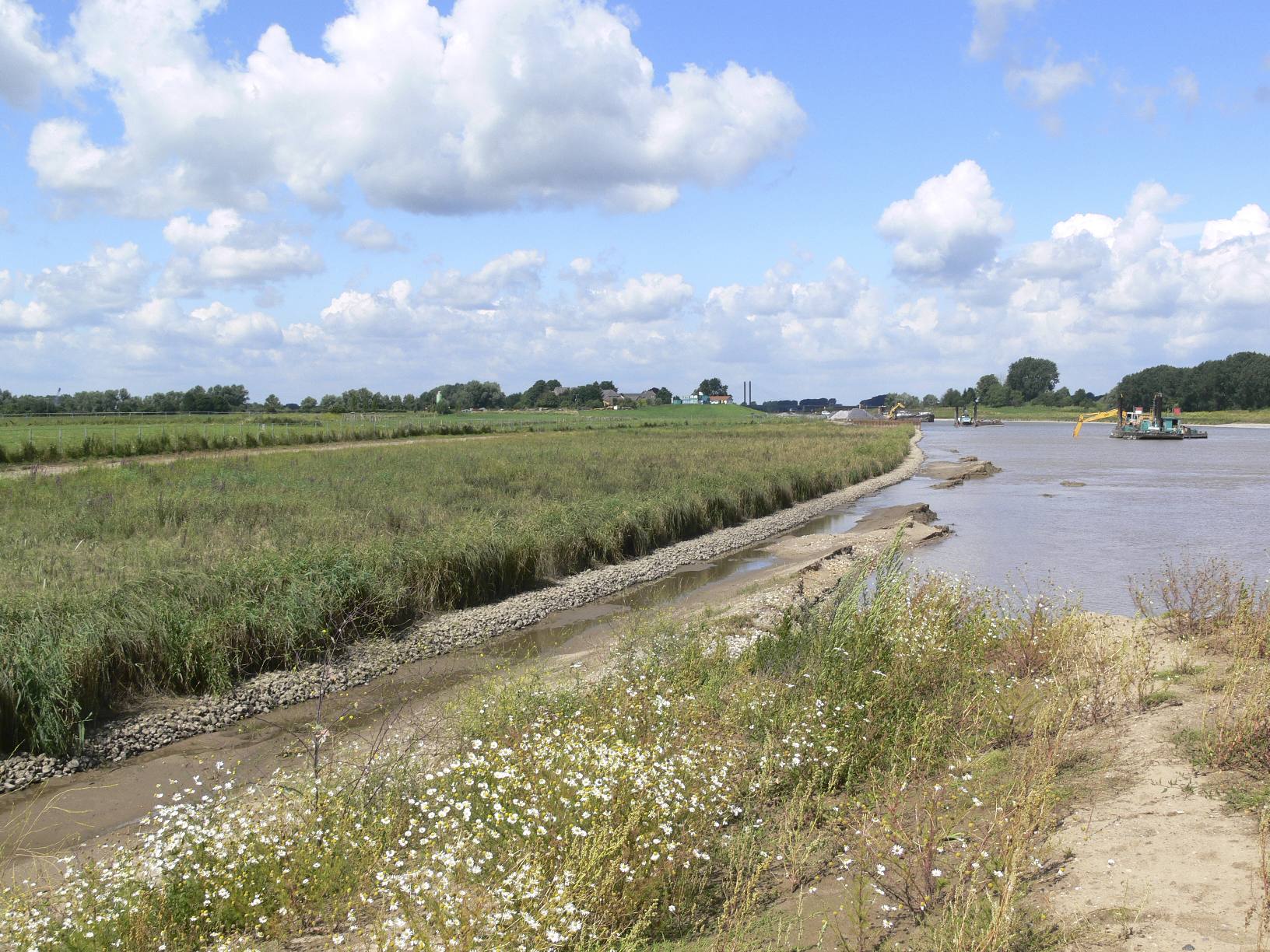 Flutmulde Rees: Keine Altlasten im Boden Flutmulde Rees: Keine Altlasten im Boden