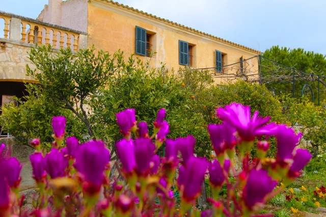 Finden und buchen sie ihr Traum Ferienhaus für ihren Urlaub auf Mallorca