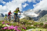 Mountainbiken in der Natur Mountainbiken in der Natur