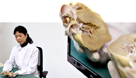 Fortbildung in 3D (Quelle: MediLive)