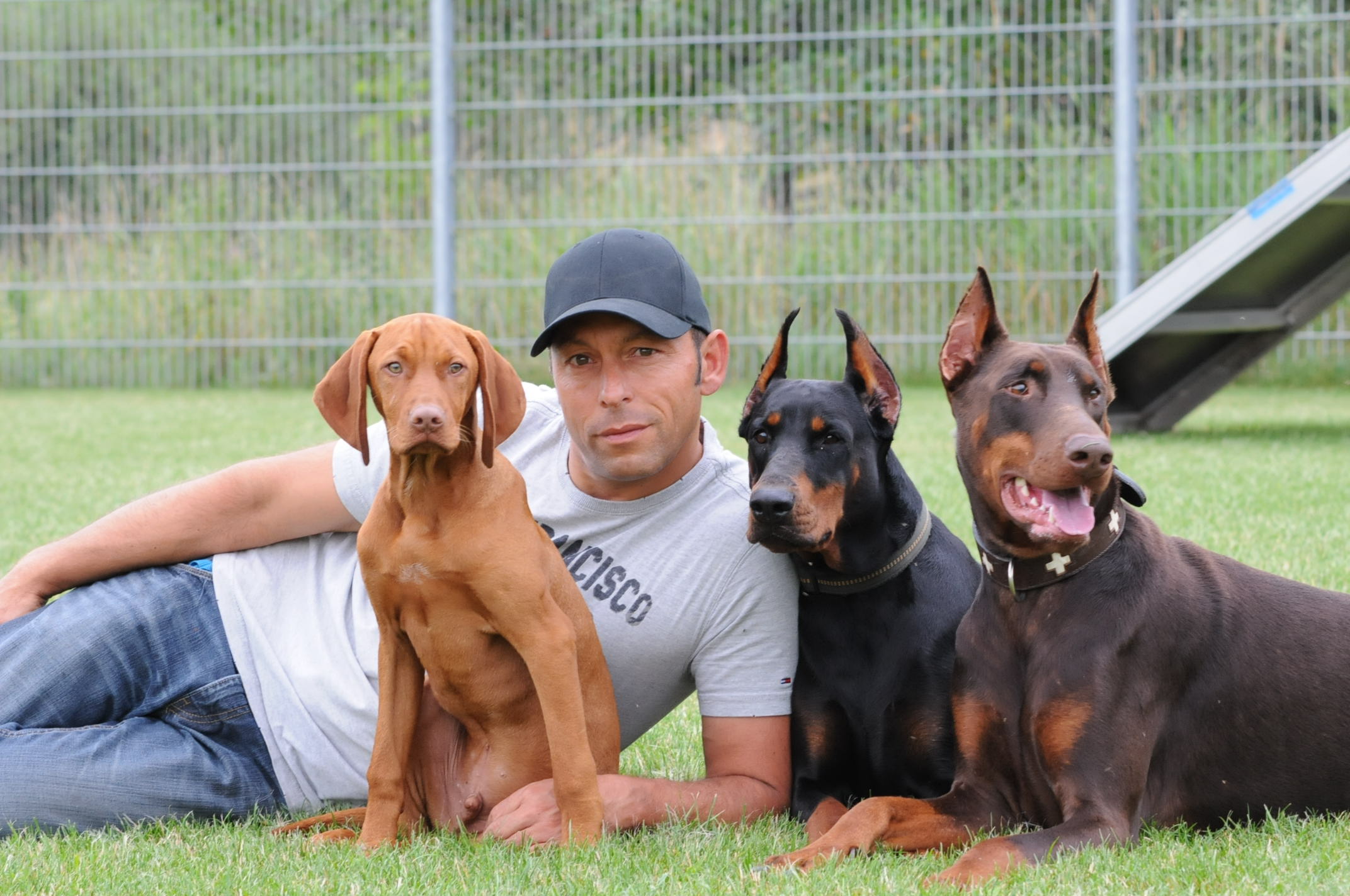 Hundetrainer Markus Satke mit seinen Schülern