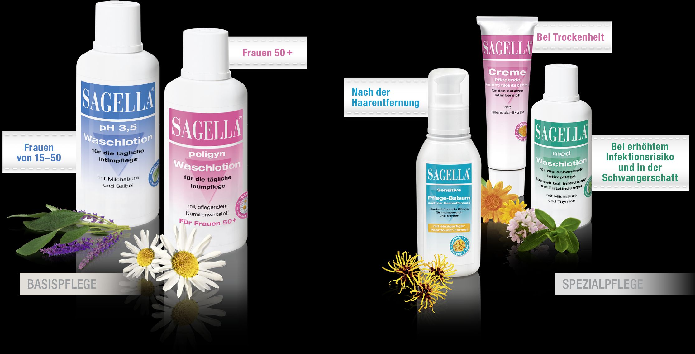 Sagella