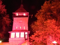 Rosa Rockt! in Siebeldingen