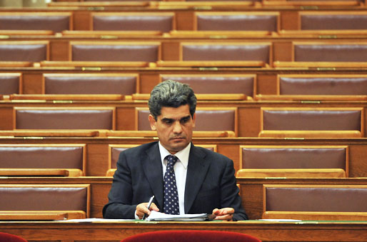 Florian im Parlament Florian im Parlament