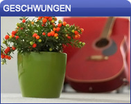 Coubi Blumenkübel