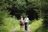 Ponyrunde durch den Wald Ponyrunde durch den Wald