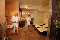 Wellness Wellness