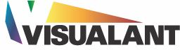 Visualant Inc. Visualant Inc.
