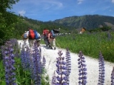 Wandern in der Natur Wandern in der Natur