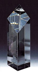 Der Innovation und Newcomer-Award der GSA Der Innovation und Newcomer-Award der GSA