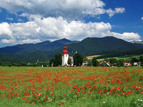 Die Liptauregion im Frühling voller blühender Blumen Die Liptauregion im Frühling voller blühender Blumen